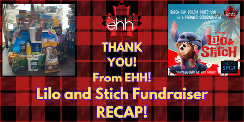 A Night at the Movies That Made a Real Difference: Lilo &amp; Stitch Screening Recap