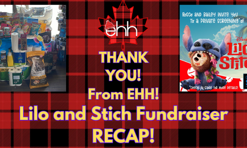 A Night at the Movies That Made a Real Difference: Lilo & Stitch Screening Recap