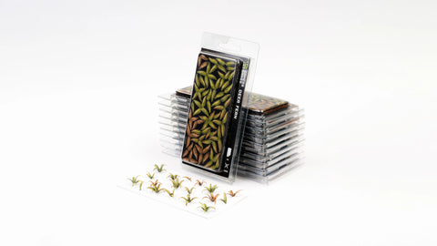 Gamers Grass - Deer Fern