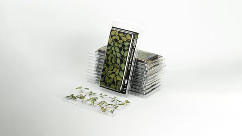 Gamers Grass - Elephant Ear