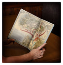 The Old World - Arcane Journal - The Razing of Westerland (12/06/2025)