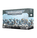 40k - Space Wolves - Grey Hunters (July 12th)