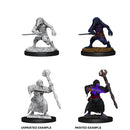 D&D -WizKids Minitures - Kenku Adventurers