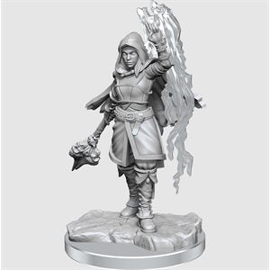 D&D - Nolzur's Marvelous Unpainted Mini - Half-Elf Warlock