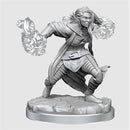 D&D - Nolzur's Marvelous Unpainted Mini - Half-Elf Warlock