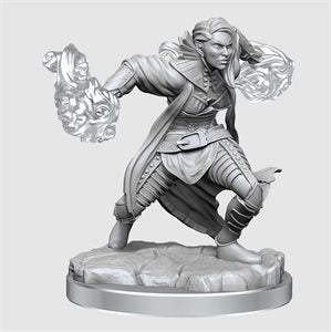 D&D - Nolzur's Marvelous Unpainted Mini - Half-Elf Warlock