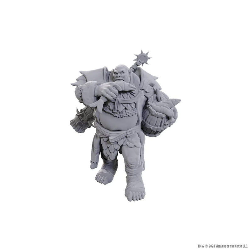 Wizkids - D&D Nolzurs Marvelous Miniatures - Wave 25