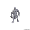 Wizkids - D&D Nolzurs Marvelous Miniatures - Wave 25