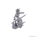 Wizkids - D&D Nolzurs Marvelous Miniatures - Wave 25