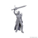 Wizkids - D&D Nolzurs Marvelous Miniatures - Wave 25