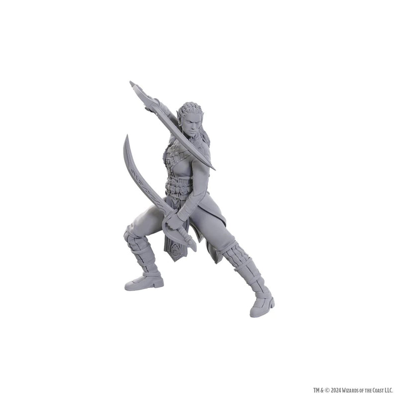 Wizkids - D&D Nolzurs Marvelous Miniatures - Special Edition: Baldur's Gate 3
