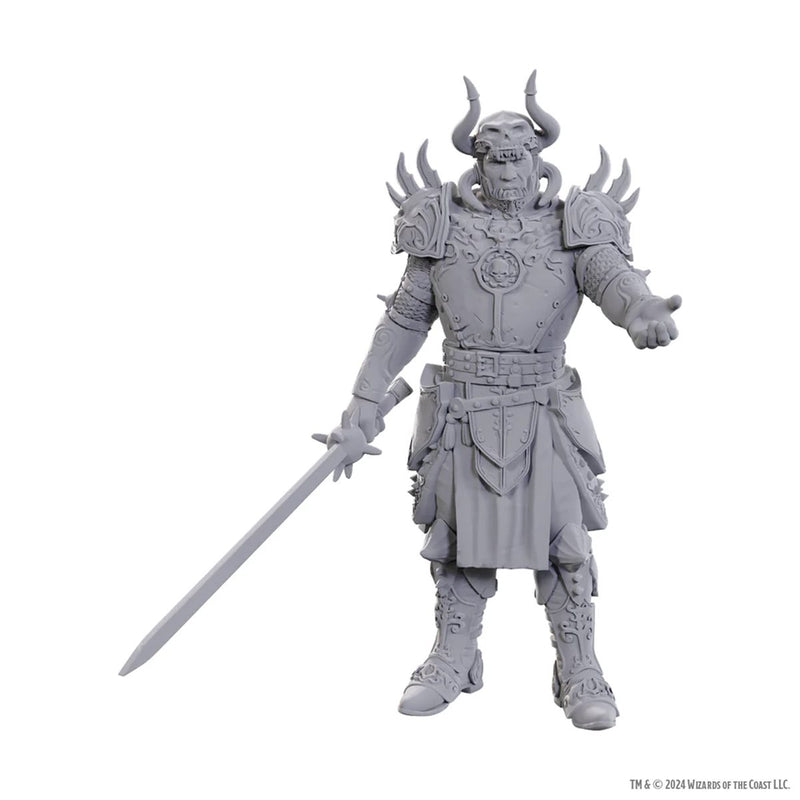 Wizkids - D&D Nolzurs Marvelous Miniatures - Special Edition: Baldur's Gate 3