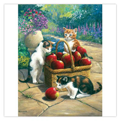 Royal & Langnickel - Paint by Number - Bumper Crop