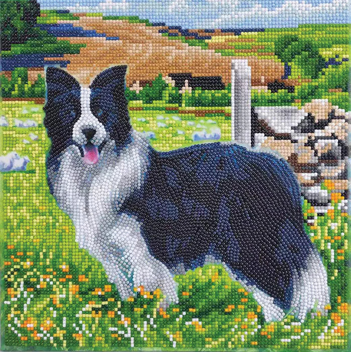 Craft Buddy - Diamond Painting - Pup in the Field | Event Horizon Hobbies CA
