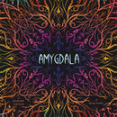 Board Games - Amygdala