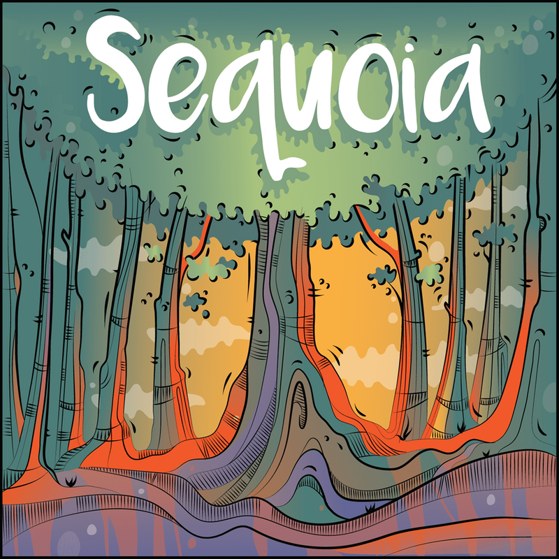 Boardgames - AllPlay - Sequoia