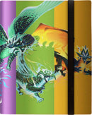 Binder - MTG Tarkir Dragonstorm