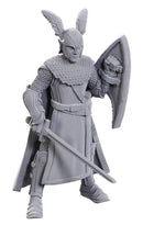 Wizkids - Nolzur's Marvelous Miniatures - 50th Ann