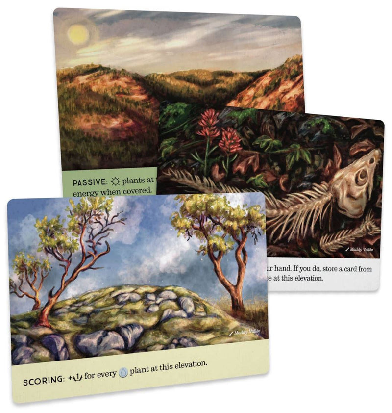 Boardgames - Reforest - Old Growth