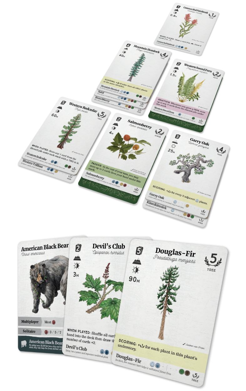 Boardgames - Reforest - Plants of the Pacific Northwest Coast