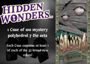 Dice - Hidden Wonders Mystery Dice