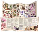 Roleplaying - The Field Guide Floral Dragons - GM Screen