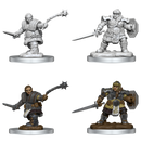D&D - Frameworks - Dwarf Fighter 2pc