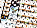 Boardgames - Wingspan Pocket