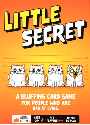 Board Game - Little Secret