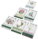 Boardgames - Reforest - Old Growth