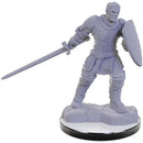 Wizkids - Nolzur's Marvelous Miniatures Wave 22
