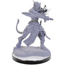 Wizkids - Nolzur's Marvelous Miniatures Wave 22