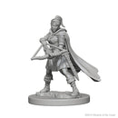Wizkids - Nolzur's Marvelous Miniatures