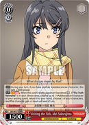 Visiting the Sick, Mai Sakurajima [Rascal Does Not Dream of a Dreaming Girl]