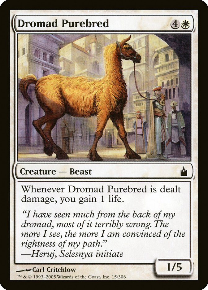 Dromad Purebred [Ravnica: City of Guilds] | Event Horizon Hobbies CA