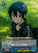 Kirito's Quiet Days (SAO/S20-E089 C) [Sword Art Online]