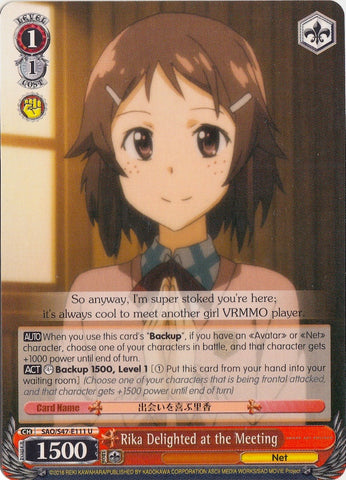 Rika Delighted at the Meeting (SAO/S47-E111 U) [Sword Art Online Re: Edit]
