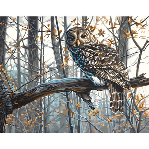 PaintWorks - Paint By Numbers - Wise Owl