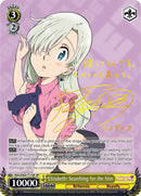 Elizabeth: Searching for the Sins (SDS/SX03-T11SP SP) [The Seven Deadly Sins]