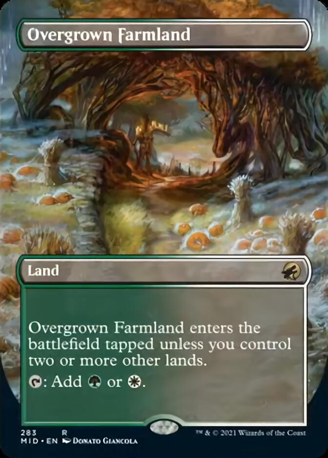Overgrown Farmland (Borderless) [Innistrad: Midnight Hunt] | Event Horizon Hobbies CA