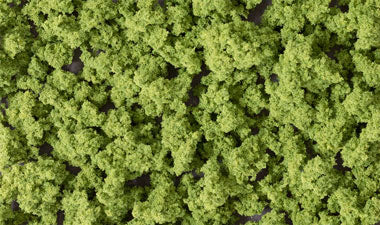 Bushes/Clump Foliage