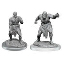 Wizkids - Nolzur's Marvelous Miniatures Wave 17