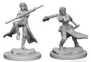 Wizkids - Nolzur's Marvelous Miniatures Wave 20