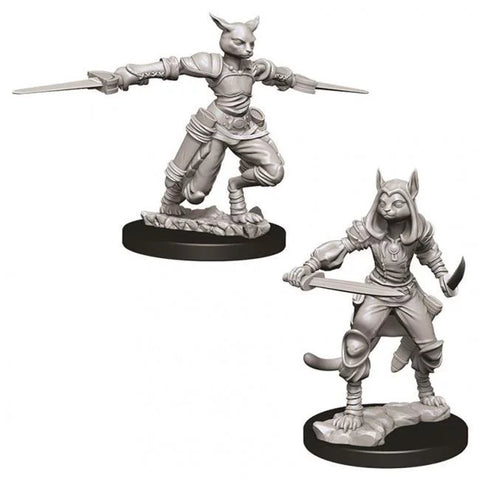 Wizkids - Nolzur's Marvelous Miniatures - 50th Ann