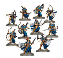 Vigilors