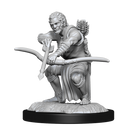 Wizkids - Nolzur's Marvelous Miniatures