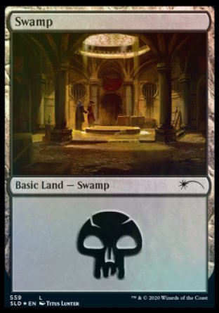Swamp (Rogues) (559) [Secret Lair Drop Promos] | Event Horizon Hobbies CA