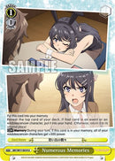 Numerous Memories [Rascal Does Not Dream of a Dreaming Girl]