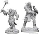 Wizkids - Nolzur's Marvelous Miniatures