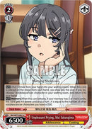 Unpleasant Prying, Mai Sakurajima [Rascal Does Not Dream of a Dreaming Girl]